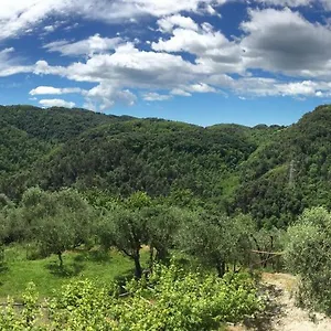 Appartement Caddelovi, Fibbialla